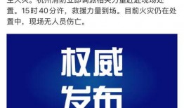 杭州头条最新爆料,揭秘某神秘项目背后的惊人真相！